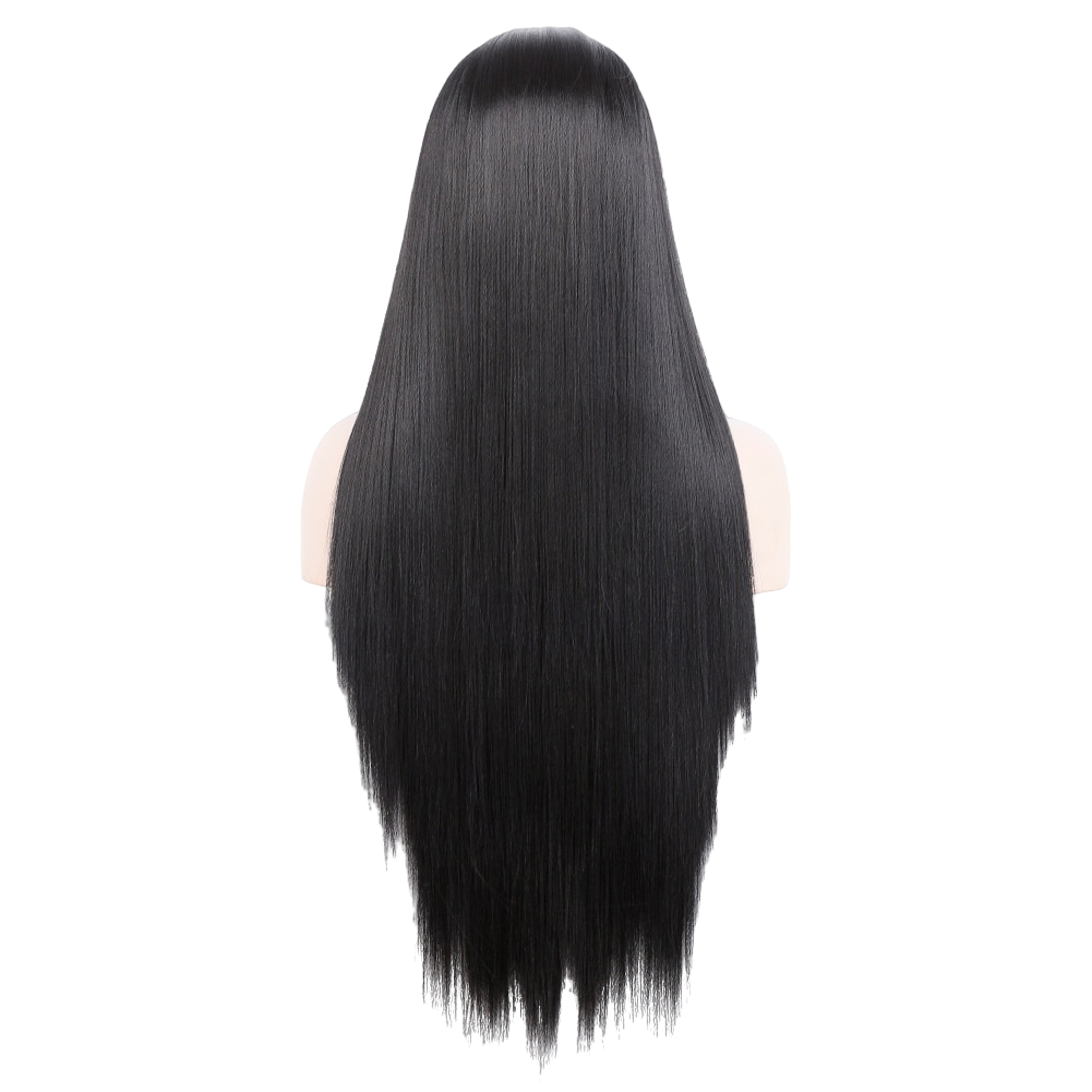 Black and White Straight Lace Front Wig